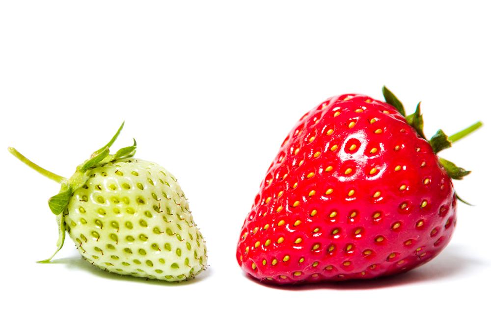 example of contrast by strawberries